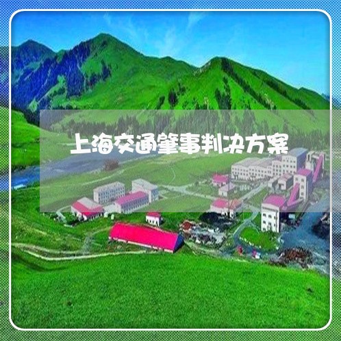 上海交通肇事判决方案/2023021294858 上海交通肇事判决方案/2023021294858