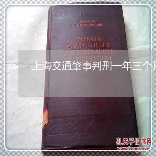 上海交通肇事判刑一年三个月/2023033167360 上海交通肇事判刑一年三个月/2023033167360