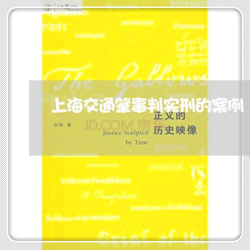上海交通肇事判实刑的案例/2023031849372
