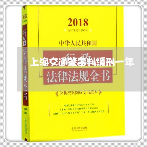 上海交通肇事判缓刑一年/2023022816159 上海交通肇事判缓刑一年/2023022816159