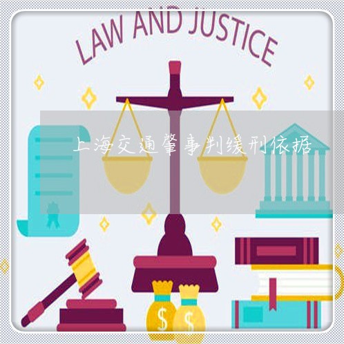 上海交通肇事判缓刑依据/2023022848491 上海交通肇事判缓刑依据/2023022848491