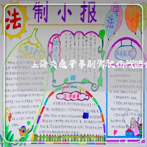 上海交通肇事副驾驶伤残赔偿/2023033140506 上海交通肇事副驾驶伤残赔偿/2023033140506