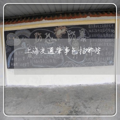 上海交通肇事包括哪些/2023021206026 上海交通肇事包括哪些/2023021206026