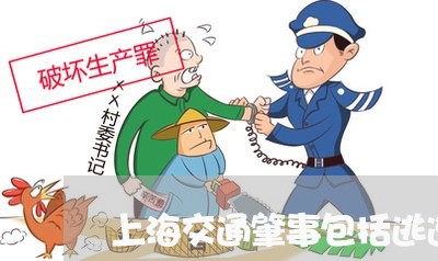 上海交通肇事包括逃逸吗/2023022828941