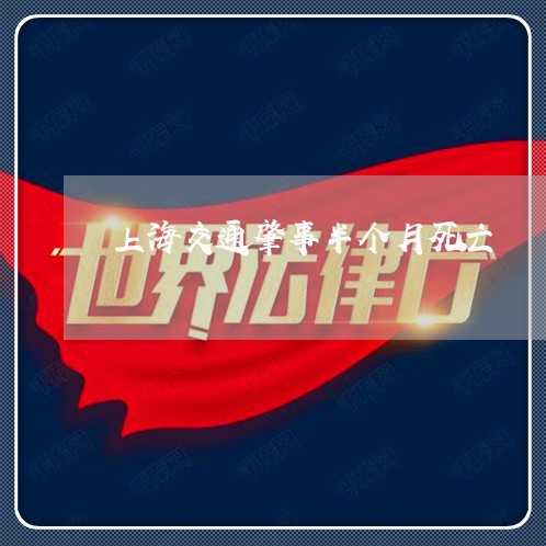上海交通肇事半个月死亡/2023022894948