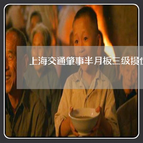 上海交通肇事半月板三级损伤/2023033182605 上海交通肇事半月板三级损伤/2023033182605