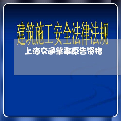 上海交通肇事原告资格/2023021287049 上海交通肇事原告资格/2023021287049