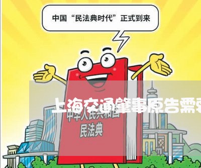 上海交通肇事原告需要律师吗/2023033119570 上海交通肇事原告需要律师吗/2023033119570