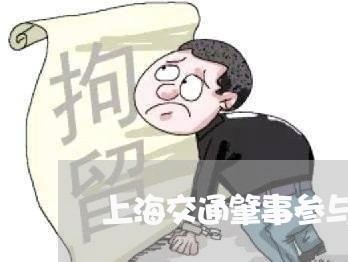 上海交通肇事参与度是什么/2023033120494