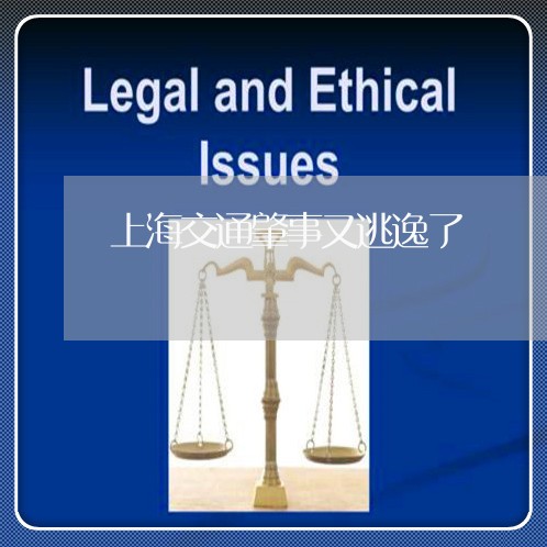 上海交通肇事又逃逸了/2023021230603 上海交通肇事又逃逸了/2023021230603