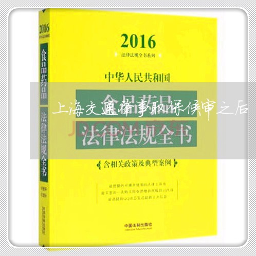 上海交通肇事取保候审之后/2023033186049