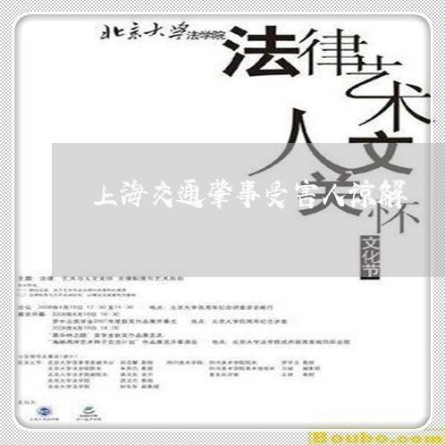 上海交通肇事受害人谅解/2023022841382 上海交通肇事受害人谅解/2023022841382