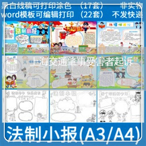 上海交通肇事受害者起诉/2023022872523 上海交通肇事受害者起诉/2023022872523