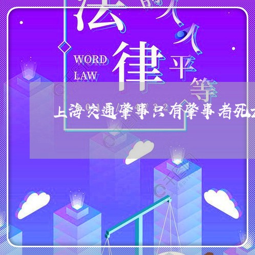 上海交通肇事只有肇事者死亡/2023033147158