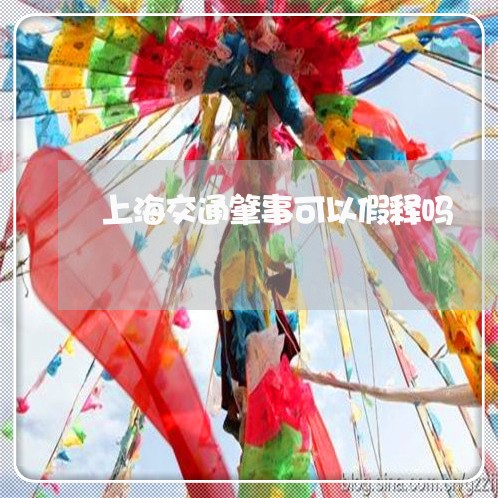 上海交通肇事可以假释吗/2023042273027 上海交通肇事可以假释吗/2023042273027