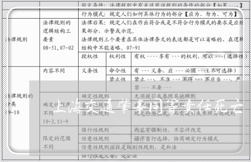 上海交通肇事同等责任死亡/2023033115038