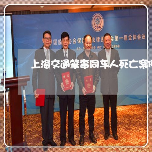 上海交通肇事同车人死亡案例/2023033187028