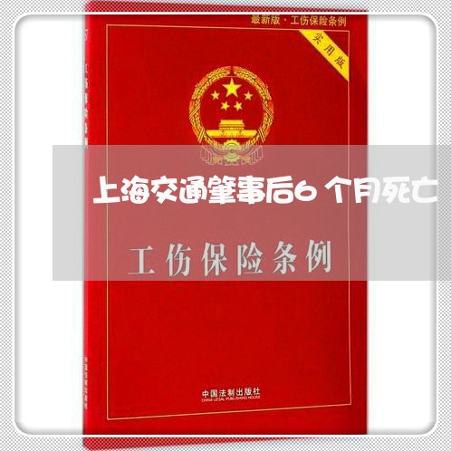 上海交通肇事后6个月死亡/2023031915839 上海交通肇事后6个月死亡/2023031915839