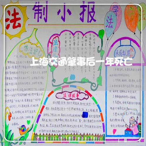 上海交通肇事后一年死亡/2023022882934 上海交通肇事后一年死亡/2023022882934