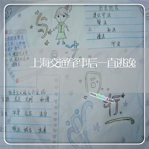上海交通肇事后一直逃逸/2023022873695 上海交通肇事后一直逃逸/2023022873695