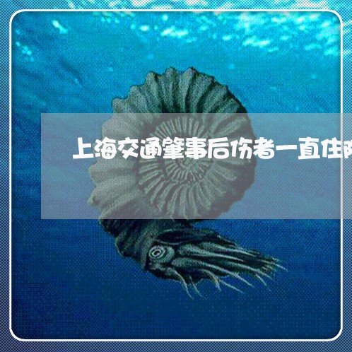 上海交通肇事后伤者一直住院/2023033173625