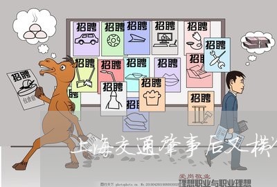 上海交通肇事后又横冲直撞/2023031937168