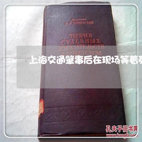 上海交通肇事后在现场等着死/2023033172636 上海交通肇事后在现场等着死/2023033172636