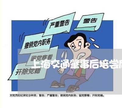 上海交通肇事后培尝后判几年/2023033169493 上海交通肇事后培尝后判几年/2023033169493