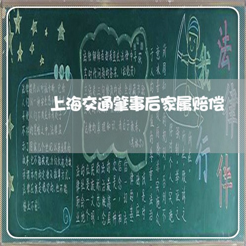 上海交通肇事后家属赔偿/2023022872692 上海交通肇事后家属赔偿/2023022872692