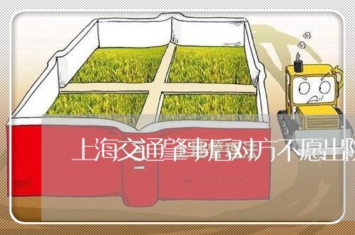 上海交通肇事后对方不愿出院/2023033185947 上海交通肇事后对方不愿出院/2023033185947