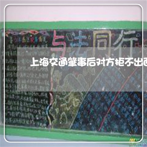 上海交通肇事后对方拒不出面/2023033158483 上海交通肇事后对方拒不出面/2023033158483