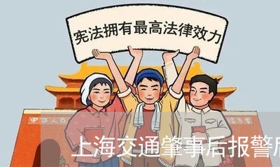 上海交通肇事后报警后人离开/2023033131526 上海交通肇事后报警后人离开/2023033131526