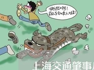 上海交通肇事后没人重伤逃逸/2023033141681 上海交通肇事后没人重伤逃逸/2023033141681