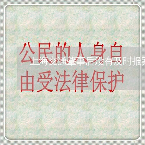 上海交通肇事后没有及时报案/2023033182916 上海交通肇事后没有及时报案/2023033182916