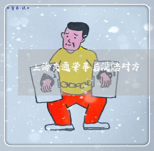 上海交通肇事后没赔对方/2023042239272 上海交通肇事后没赔对方/2023042239272