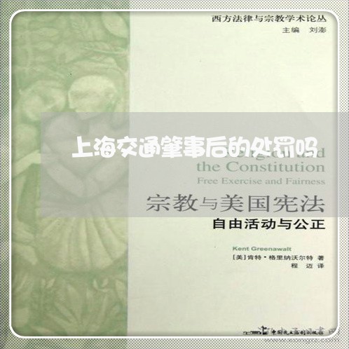 上海交通肇事后的处罚吗/2023022883707 上海交通肇事后的处罚吗/2023022883707