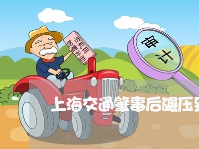 上海交通肇事后碾压致人死亡/2023033171594