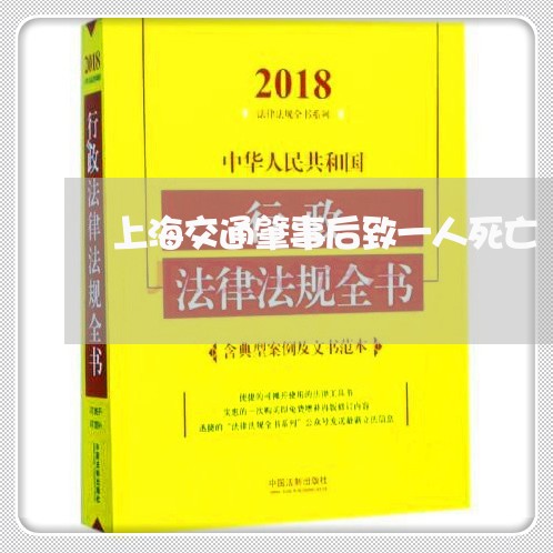 上海交通肇事后致一人死亡/2023031991495 上海交通肇事后致一人死亡/2023031991495