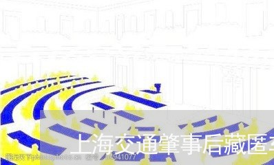 上海交通肇事后藏匿车辆/2023042259493