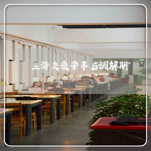 上海交通肇事后调解期/2023021238260 上海交通肇事后调解期/2023021238260