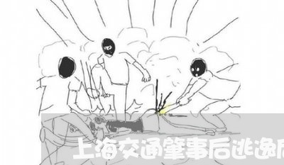 上海交通肇事后逃逸后又自首/2023033161047 上海交通肇事后逃逸后又自首/2023033161047