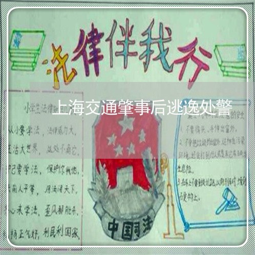 上海交通肇事后逃逸处警/2023022884047