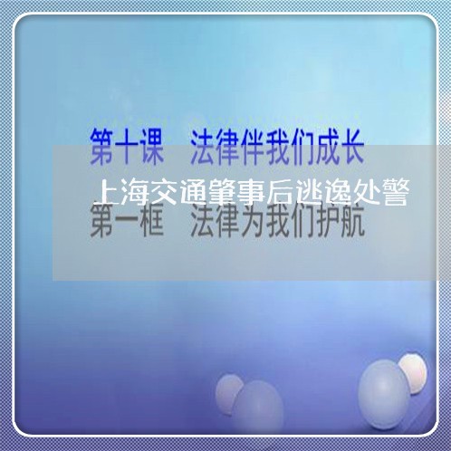 上海交通肇事后逃逸处警/2023042261706