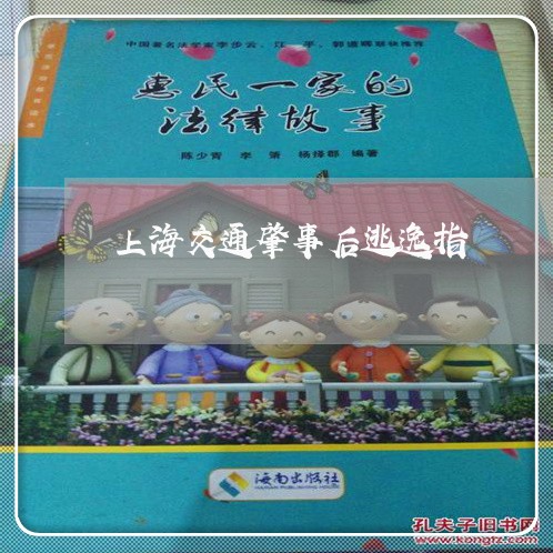 上海交通肇事后逃逸指/2023021249179 上海交通肇事后逃逸指/2023021249179