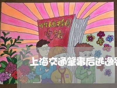 上海交通肇事后逃逸罚款/2023022869681