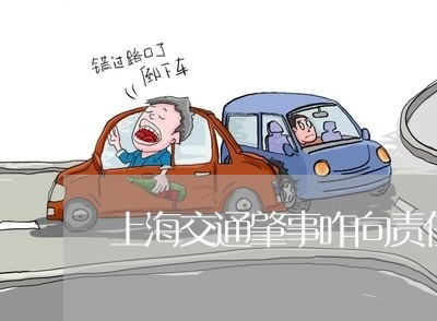 上海交通肇事咋向责任方索赔/2023033183893