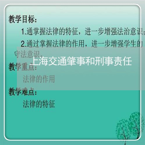 上海交通肇事和刑事责任/2023042226351