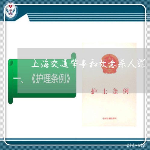 上海交通肇事和故意杀人罪/2023033104161
