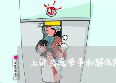 上海交通肇事和解保险/2023021281603 上海交通肇事和解保险/2023021281603