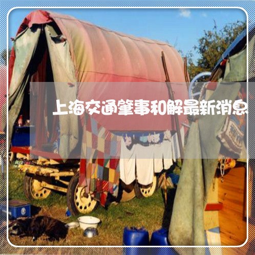 上海交通肇事和解最新消息/2023031873837 上海交通肇事和解最新消息/2023031873837